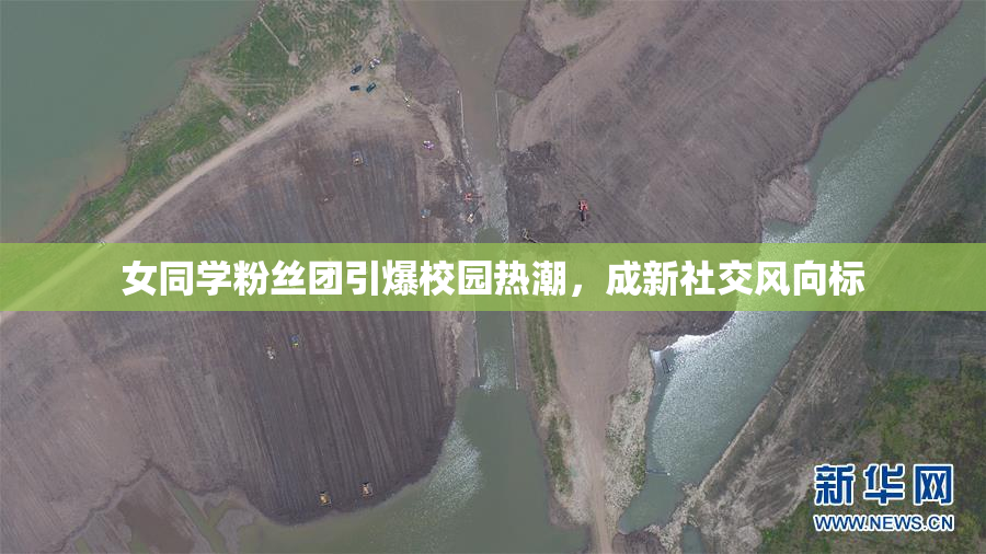 女同学粉丝团引爆校园热潮，成新社交风向标