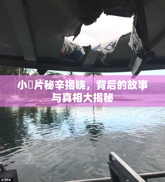 小黃片秘辛揭晓，背后的故事与真相大揭秘