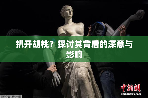 扒开胡桃？探讨其背后的深意与影响
