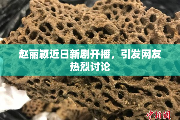 赵丽颖近日新剧开播，引发网友热烈讨论