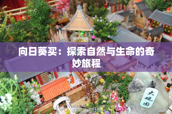 向日葵买：探索自然与生命的奇妙旅程