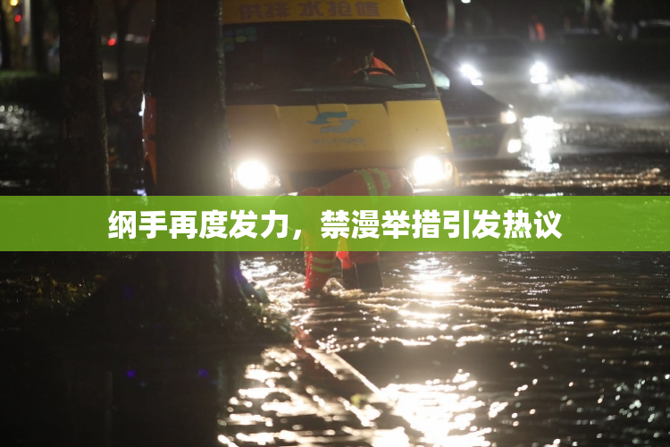 纲手再度发力，禁漫举措引发热议