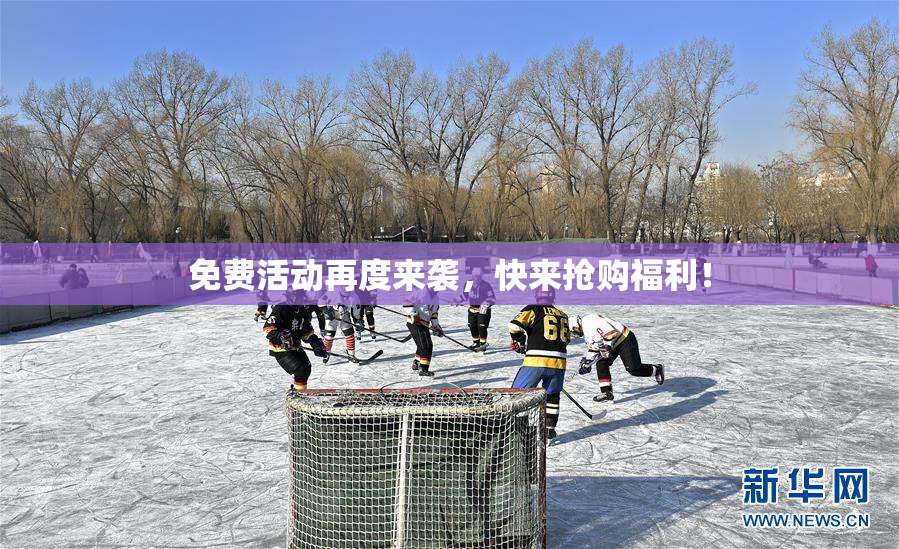 免费活动再度来袭，快来抢购福利！