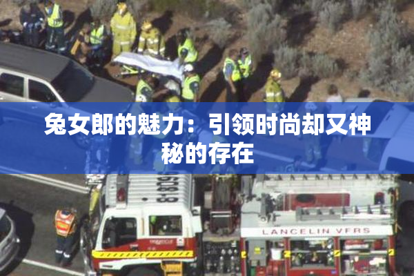 兔女郎的魅力：引领时尚却又神秘的存在