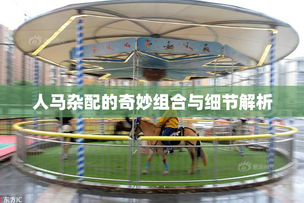 人马杂配的奇妙组合与细节解析