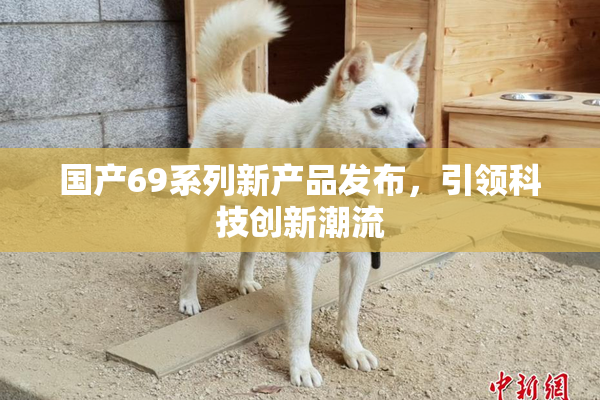 国产69系列新产品发布，引领科技创新潮流