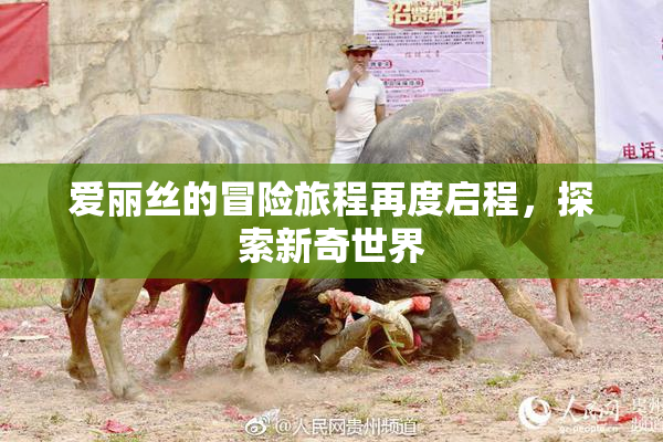 爱丽丝的冒险旅程再度启程，探索新奇世界