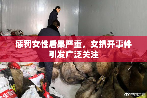 惩罚女性后果严重，女扒开事件引发广泛关注