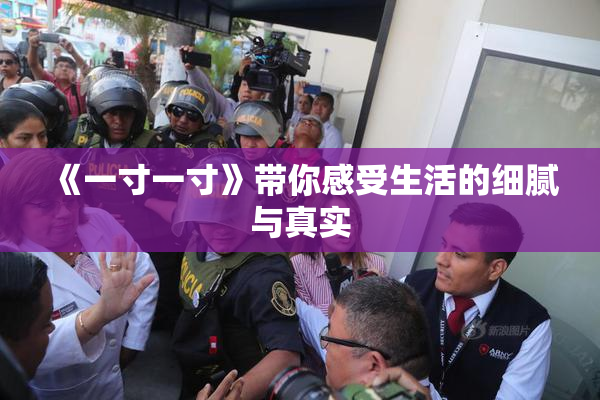 《一寸一寸》带你感受生活的细腻与真实