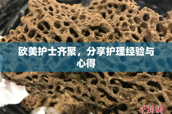 欧美护士齐聚，分享护理经验与心得