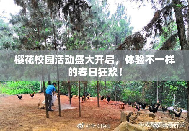 樱花校园活动盛大开启，体验不一样的春日狂欢！
