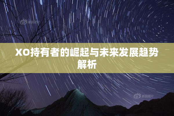 XO持有者的崛起与未来发展趋势解析