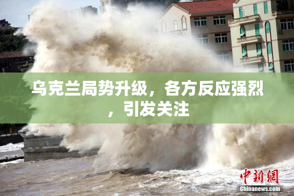乌克兰局势升级，各方反应强烈，引发关注