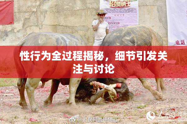 性行为全过程揭秘，细节引发关注与讨论