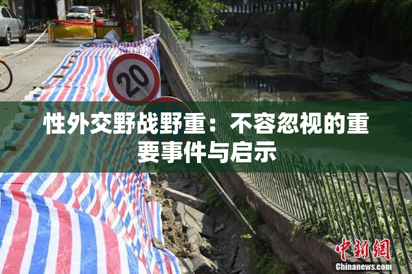 性外交野战野重：不容忽视的重要事件与启示
