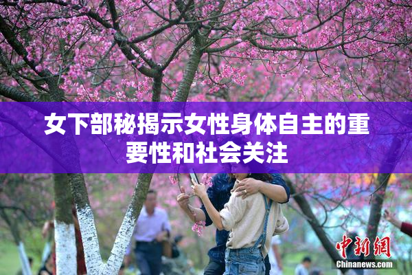 女下部秘揭示女性身体自主的重要性和社会关注
