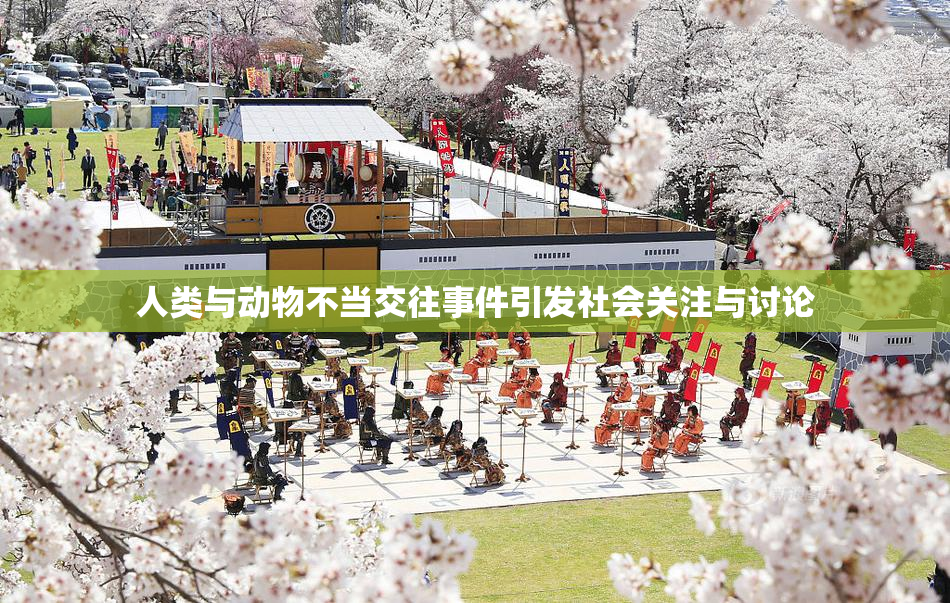 人类与动物不当交往事件引发社会关注与讨论
