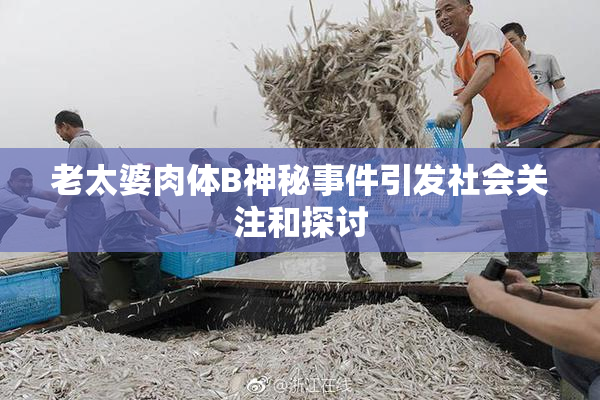 老太婆肉体B神秘事件引发社会关注和探讨