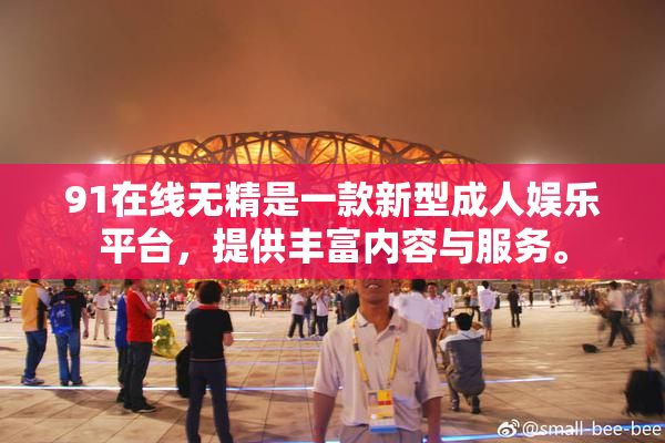 91在线无精是一款新型成人娱乐平台，提供丰富内容与服务。