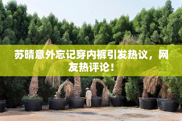 苏晴意外忘记穿内裤引发热议，网友热评论！