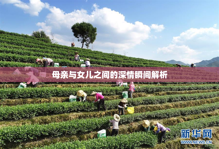 母亲与女儿之间的深情瞬间解析