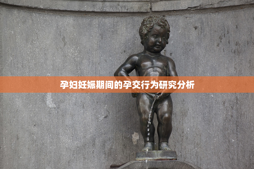 孕妇妊娠期间的孕交行为研究分析