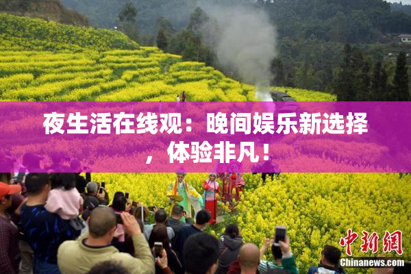 夜生活在线观：晚间娱乐新选择，体验非凡！