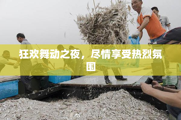 狂欢舞动之夜，尽情享受热烈氛围