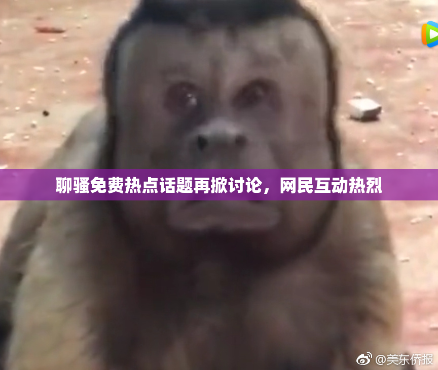 聊骚免费热点话题再掀讨论，网民互动热烈