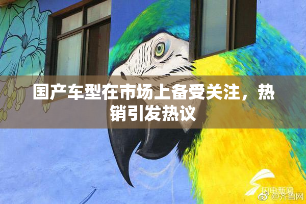 国产车型在市场上备受关注，热销引发热议