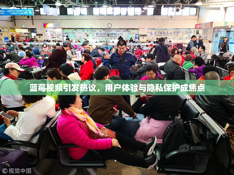 蓝莓视频引发热议，用户体验与隐私保护成焦点