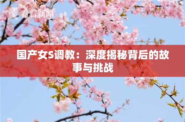 国产女S调教：深度揭秘背后的故事与挑战