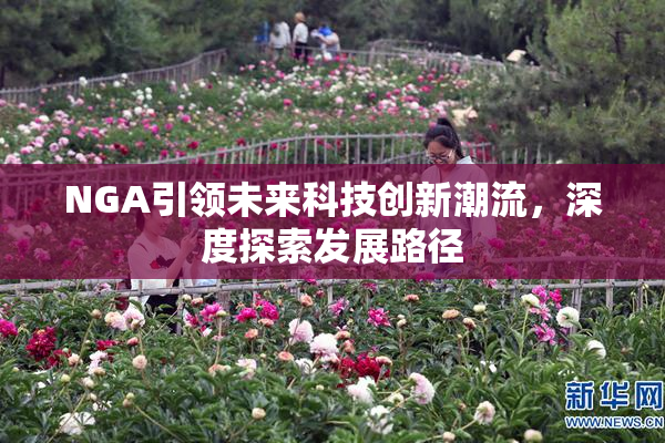 NGA引领未来科技创新潮流，深度探索发展路径