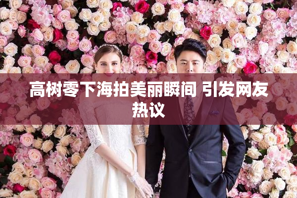 高树零下海拍美丽瞬间 引发网友热议
