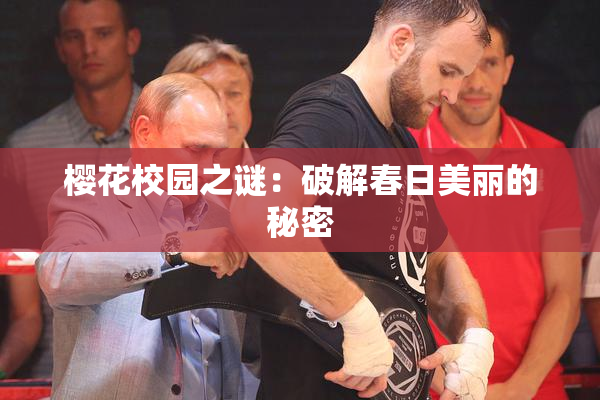 樱花校园之谜：破解春日美丽的秘密