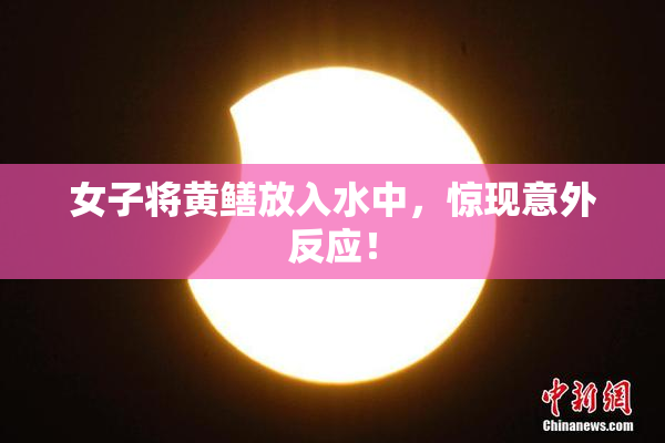 女子将黄鳝放入水中，惊现意外反应！