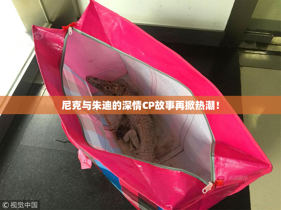 尼克与朱迪的深情CP故事再掀热潮！
