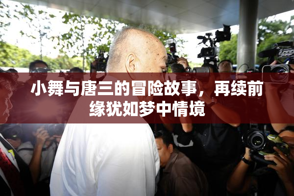 小舞与唐三的冒险故事，再续前缘犹如梦中情境