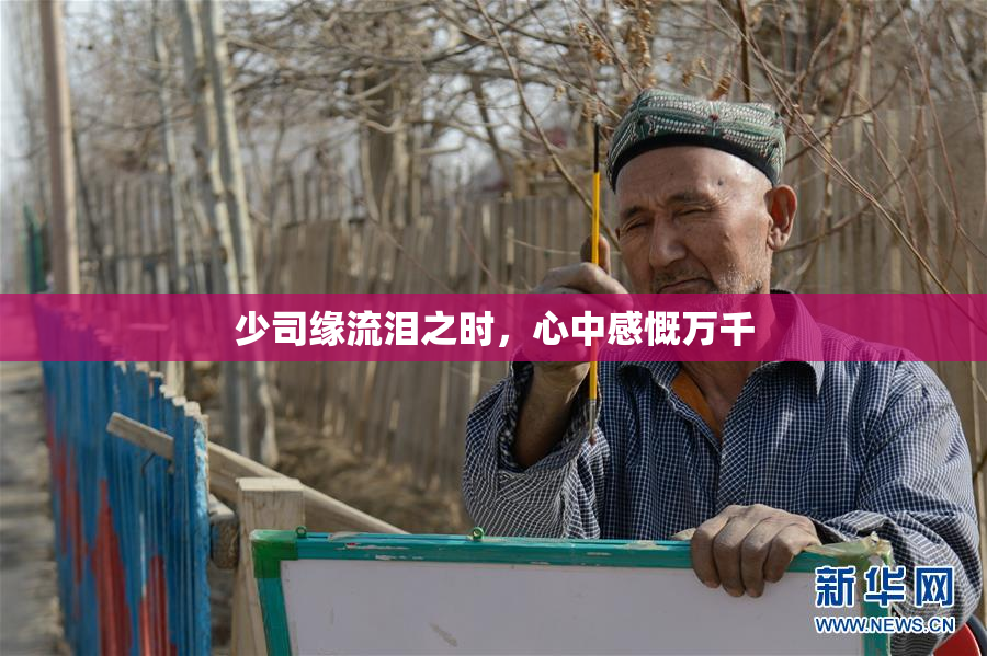 少司缘流泪之时，心中感慨万千