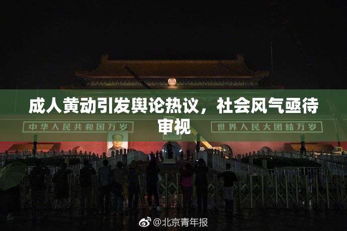 成人黄动引发舆论热议，社会风气亟待审视