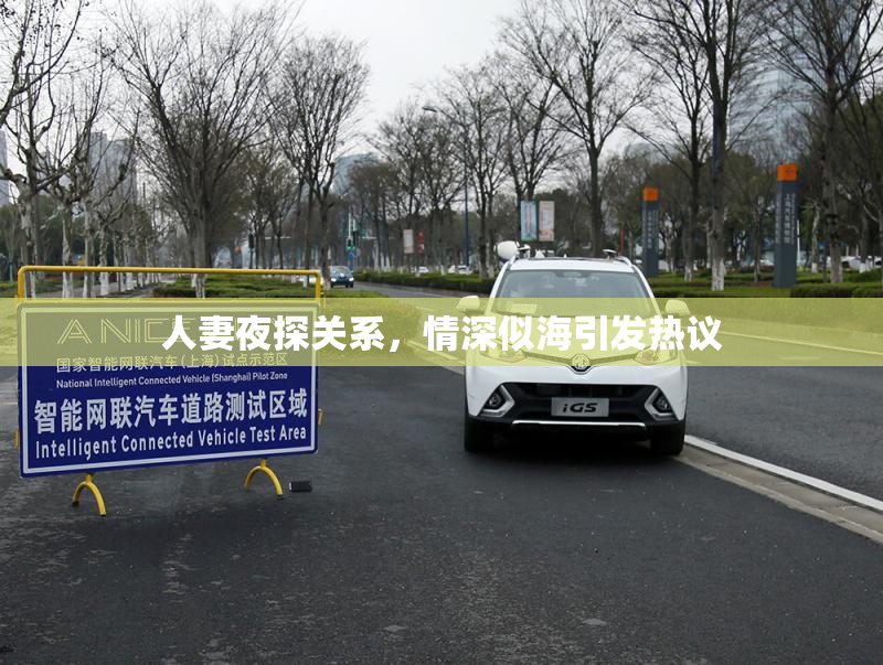 人妻夜探关系，情深似海引发热议