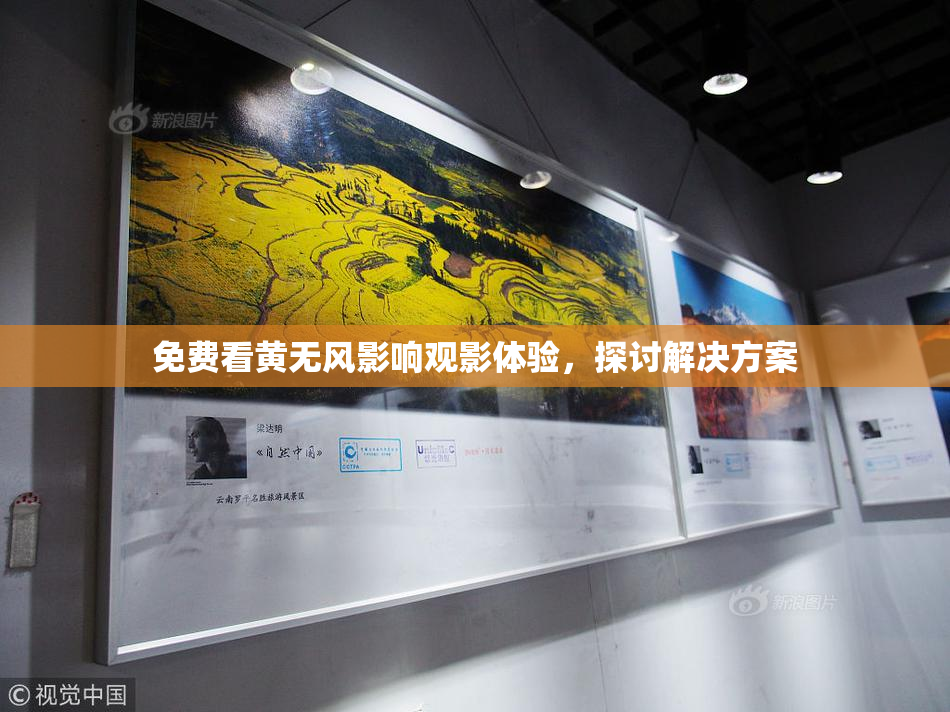 免费看黄无风影响观影体验，探讨解决方案