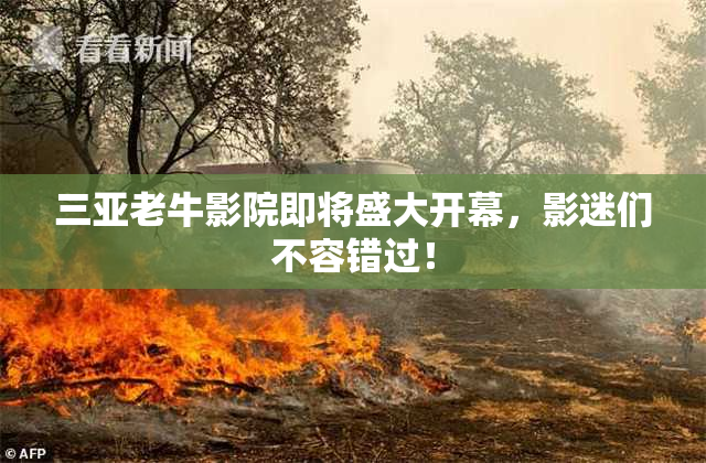 三亚老牛影院即将盛大开幕，影迷们不容错过！