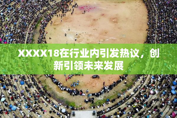 XXXX18在行业内引发热议，创新引领未来发展