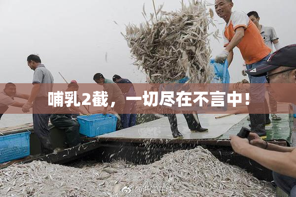 哺乳2截，一切尽在不言中！