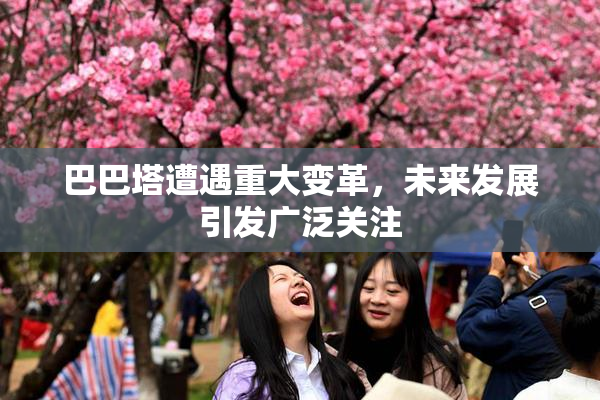 巴巴塔遭遇重大变革，未来发展引发广泛关注