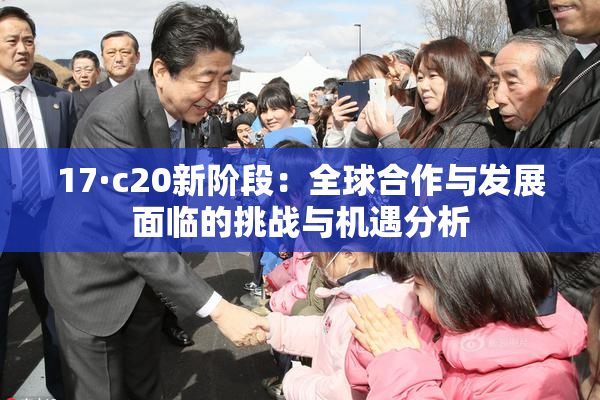 17·c20新阶段：全球合作与发展面临的挑战与机遇分析