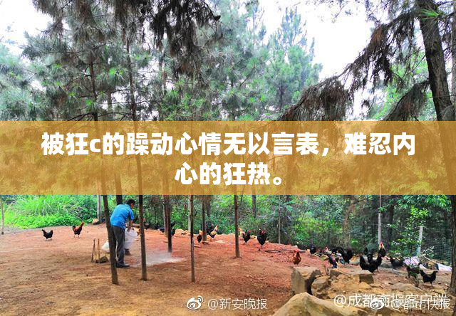 被狂c的躁动心情无以言表，难忍内心的狂热。
