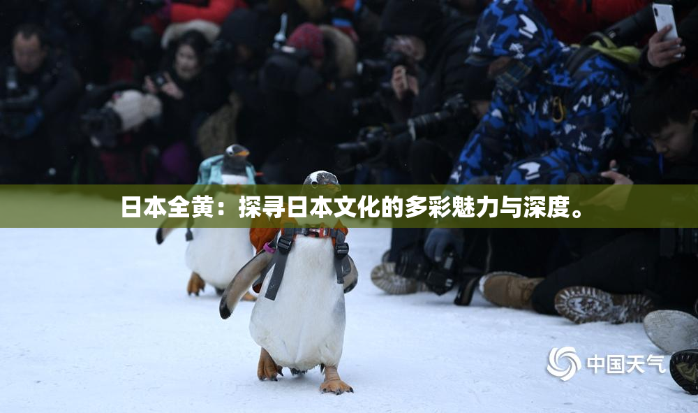 日本全黄：探寻日本文化的多彩魅力与深度。