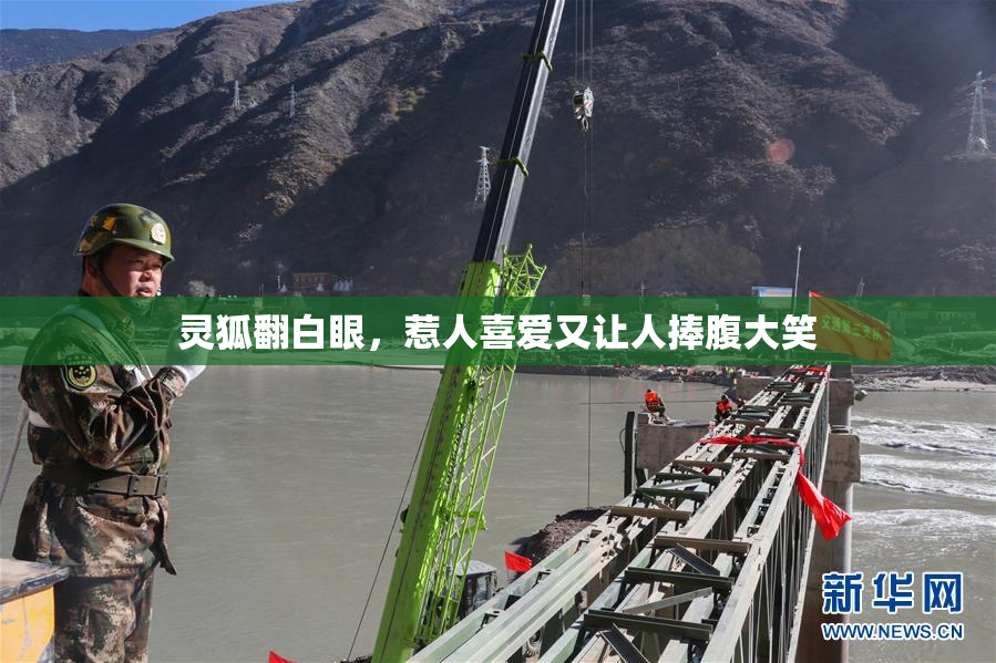 灵狐翻白眼，惹人喜爱又让人捧腹大笑